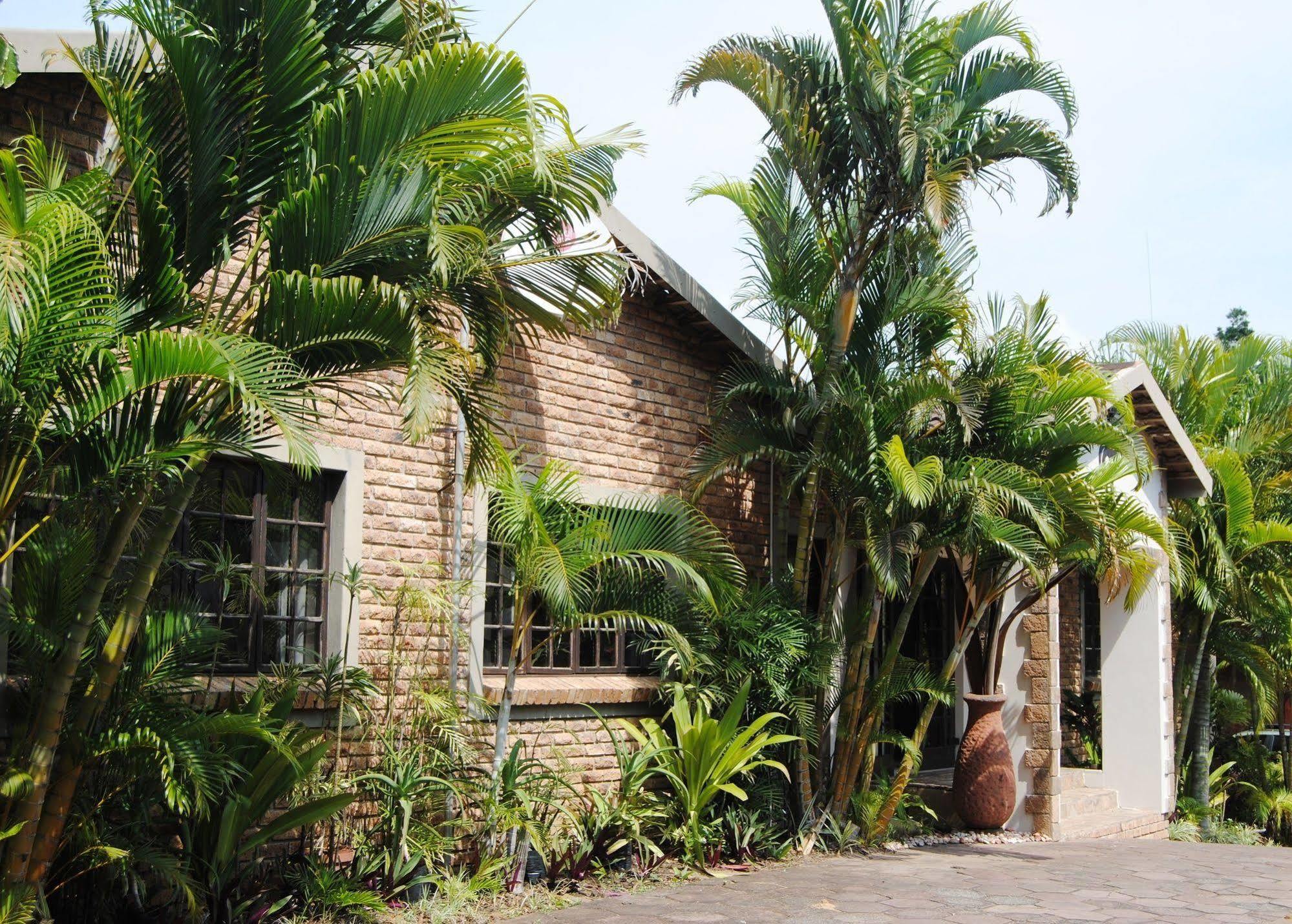 African Dreamz Guest House St Lucia Bagian luar foto